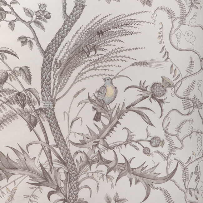 BRUNSCHWIG & FILS BIRD AND THISTLE COTTON PRINT - GRAY BR-79431.11.0