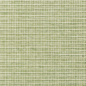Chambery Textures Ii Freney Texture - Green upholstery fabric swatch