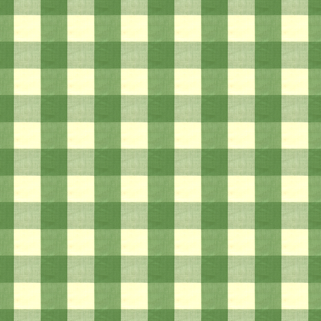 BRUNSCHWIG & FILS EXCHEQUER COTTON CHECK - JADE BR-89725.464.0