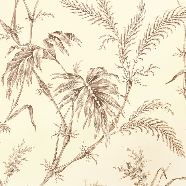 BRUNSCHWIG & FILS LOUVERNE WALLPAPERS LAUZIERE - TAUPE P8020113.106.0
