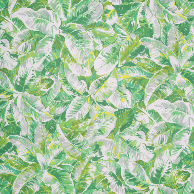 BRUNSCHWIG & FILS MAJORELLE WALLPAPERS DIANI - LEAF P8022109.3.0