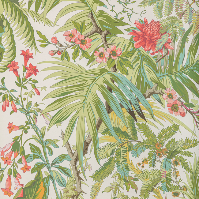 BRUNSCHWIG & FILS MAJORELLE WALLPAPERS MAJORELLE - SPRING P8022111.73.0