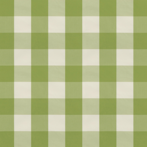 BRUNSCHWIG & FILS NORMANT CHECKS AND STRIPES LACKLAND CHECK - LEAF 8019105.3.0 - Discontinued