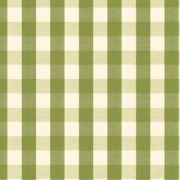 BRUNSCHWIG & FILS TRESORS DE JOUY CARSTEN CHECK - LEAF BR-89149.3.0