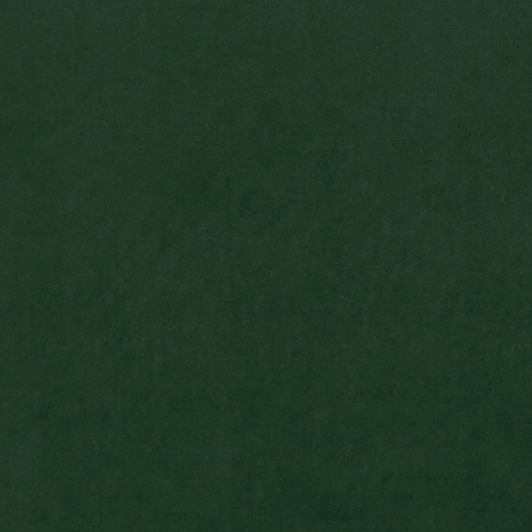 CLARKE & CLARKE ALVAR 2 ALVAR - EMERALD F0753/63.CAC.0