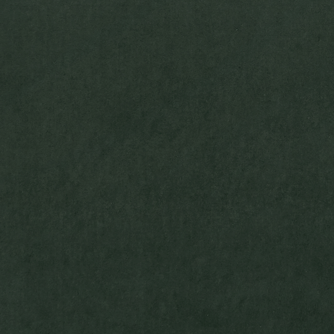 CLARKE & CLARKE ALVAR 2 ALVAR - FOREST F0753/65.CAC.0