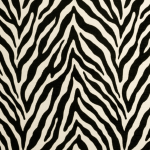 Clarke & Clarke Black + White Bw1029 - Black/white upholstery fabric swatch