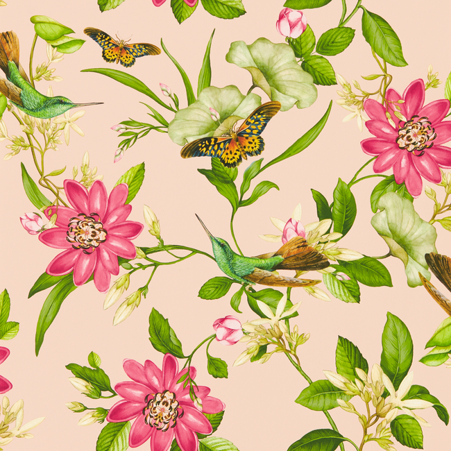 CLARKE & CLARKE BOTANICAL WONDERS WALLPAPER PINK LOTUS WP - BLUSH W0132/01.CAC.0