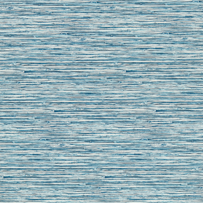 CLARKE & CLARKE BREEGAN JANE WALLCOVERING XAN - CARIBBEAN WP W0192/01.CAC.0