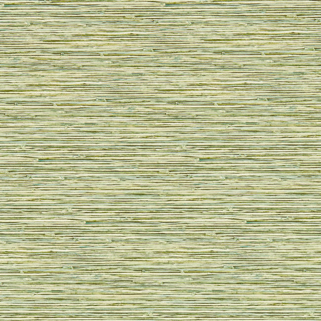 CLARKE & CLARKE BREEGAN JANE WALLCOVERING XAN - PALM WP W0192/04.CAC.0