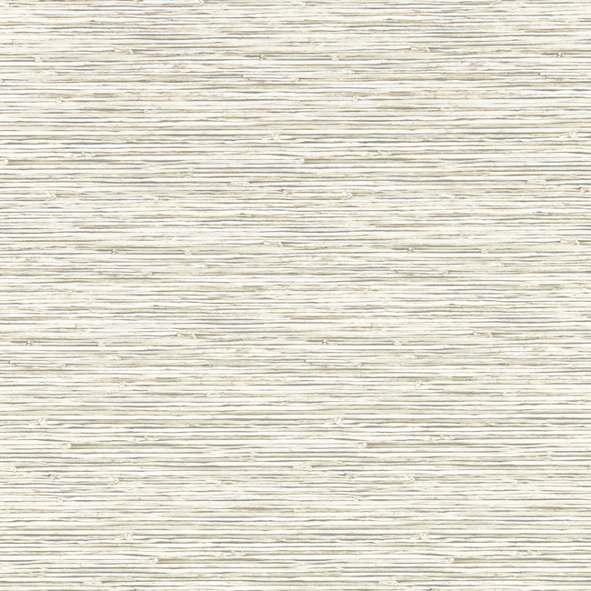 CLARKE & CLARKE BREEGAN JANE WALLCOVERING XAN - PARCHMENT WP W0192/05.CAC.0