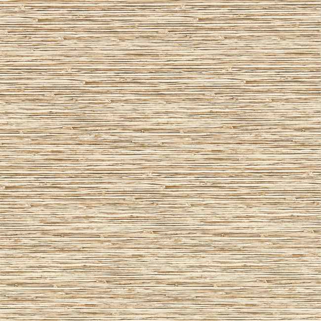 CLARKE & CLARKE BREEGAN JANE WALLCOVERING XAN - SAHARA WP W0192/06.CAC.0