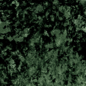 Clarke & Clarke Crush Crush - Olive upholstery fabric swatch