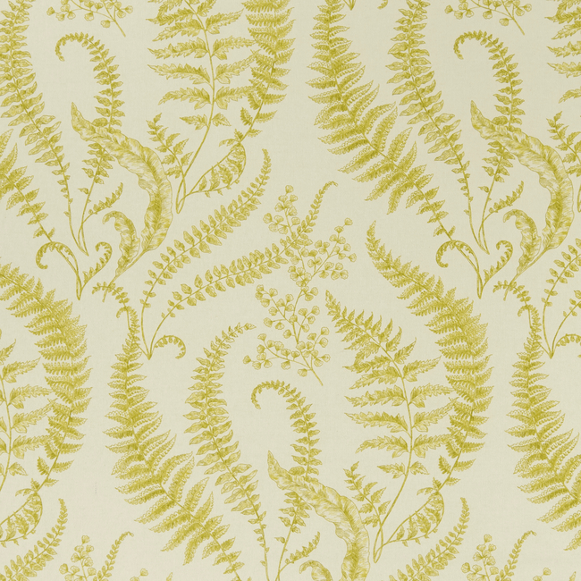 CLARKE & CLARKE EDEN FOLIUM - CHARTREUSE F1328/01.CAC.0