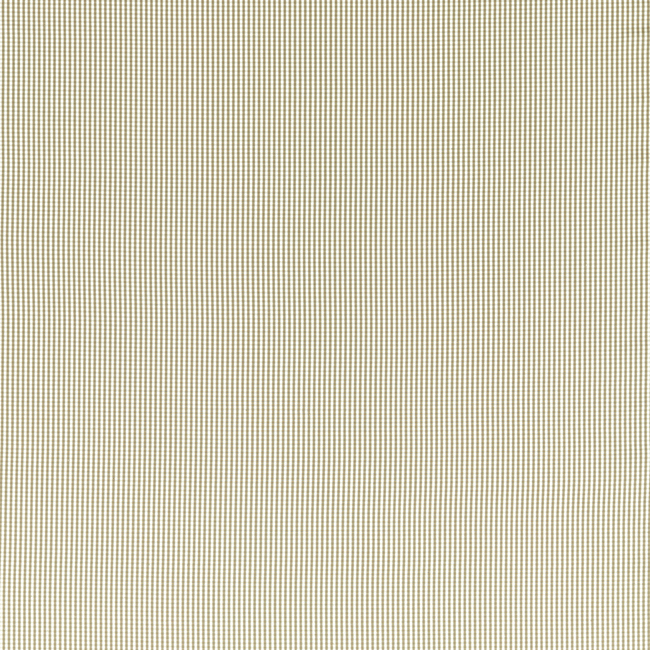 CLARKE & CLARKE EDGEWORTH WINDSOR - LINEN F1505/05.CAC.0