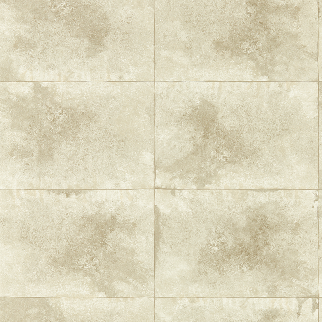 CLARKE & CLARKE FUSION LUXURY WALLCOVERING IGNEOUS - CHAMPAGNE WP W0151/02.CAC.0
