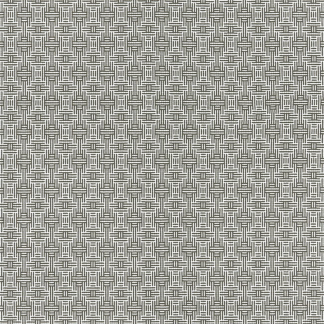 CLARKE & CLARKE ORIGINS AZTEC - CHARCOAL F1438/01.CAC.0