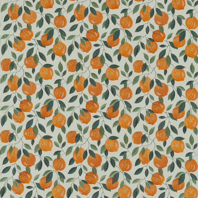 CLARKE & CLARKE POMARIUM SICILIAN - ORANGE F1508/02.CAC.0