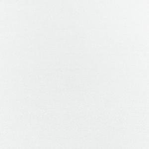 Clarke & Clarke Purus Felpa - Polar upholstery fabric swatch