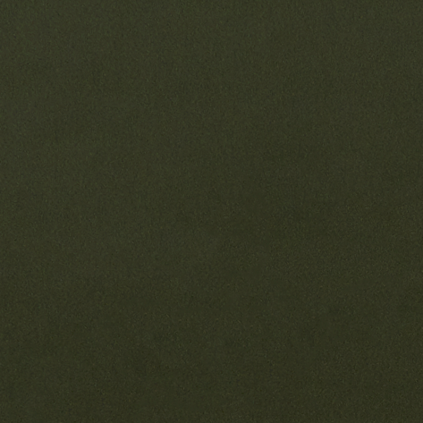 CLARKE & CLARKE STUDIO G FOR C&C ALONSO LUCCA - CHIVE upholstery fabric swatch for sample-first furniture planning