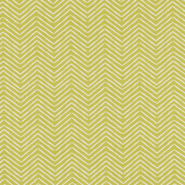 CLARKE & CLARKE STUDIO G FOR C&C CO-ORDINATES PICA - CITRUS upholstery fabric swatch for sample-first furniture planning