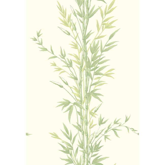 COLE & SON ANTHOLOGY BAMBOO - GREEN 100/5023.CS.0