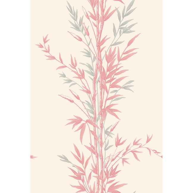 COLE & SON ANTHOLOGY BAMBOO - PINK 100/5024.CS.0