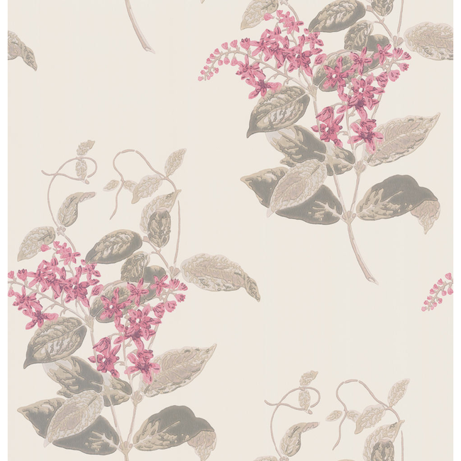 COLE & SON ANTHOLOGY MADRAS VIOLET - PINK 100/12058.CS.0