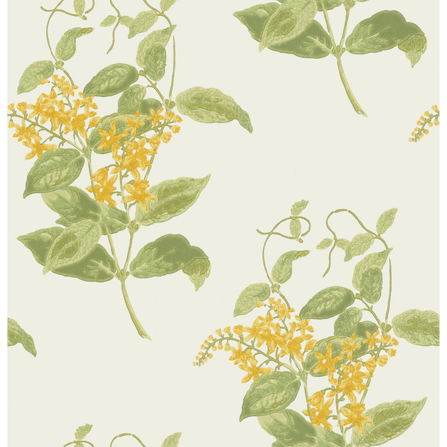 COLE & SON ANTHOLOGY MADRAS VIOLET - YELLOW 100/12059.CS.0