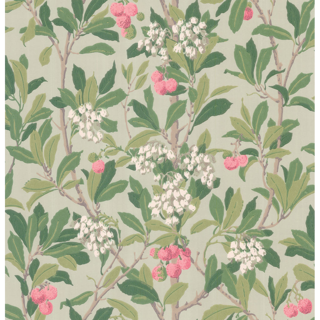 COLE & SON ANTHOLOGY STRAWBERRY TREE - PINK & DUCK EGG 100/10048.CS.0