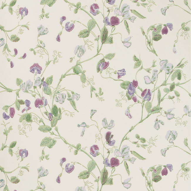 COLE & SON ANTHOLOGY SWEET PEA - VIOLET 100/6030.CS.0
