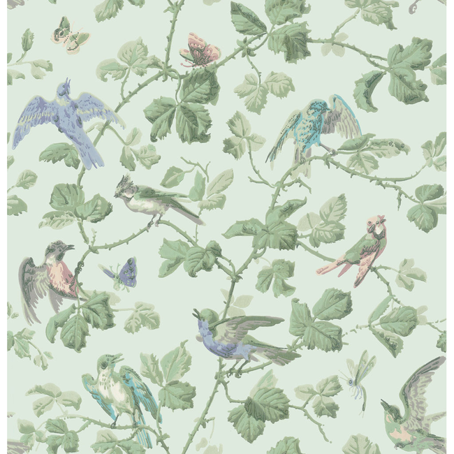 COLE & SON ANTHOLOGY WINTER BIRDS - DUCK EGG 100/2007.CS.0