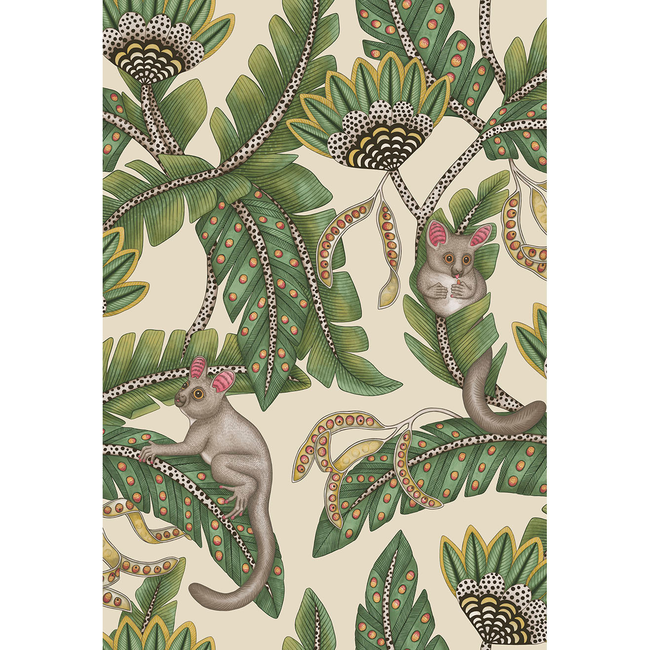 COLE & SON ARDMORE-JABULA BUSH BABY - SGE&CHRT/PRCHMNT 119/7035.CS.0