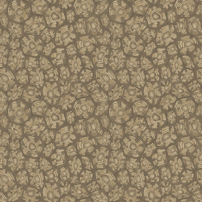 COLE & SON ARDMORE-JABULA SAVANNA SHELL - GILVER 119/4020.CS.0