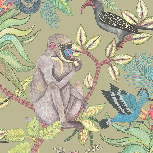 COLE & SON ARDMORE SAVUTI - KHAKI MULTI 109/1005.CS.0