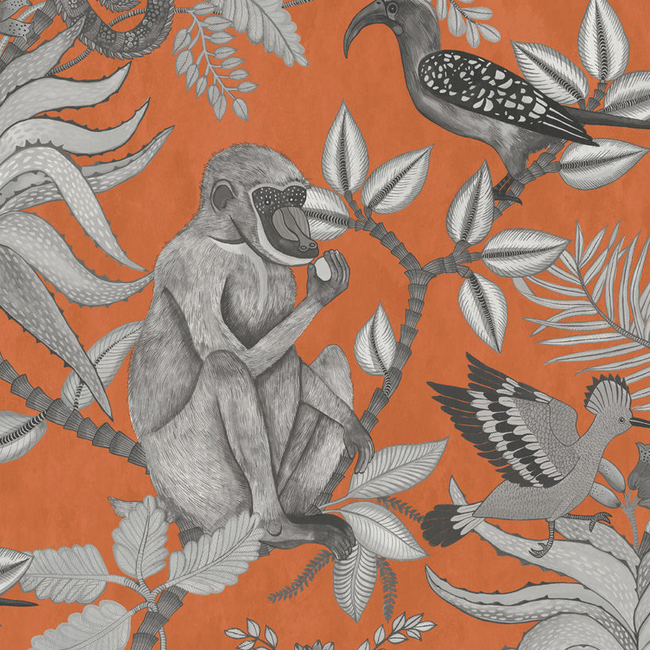 COLE & SON ARDMORE SAVUTI - ORANGE 109/1001.CS.0