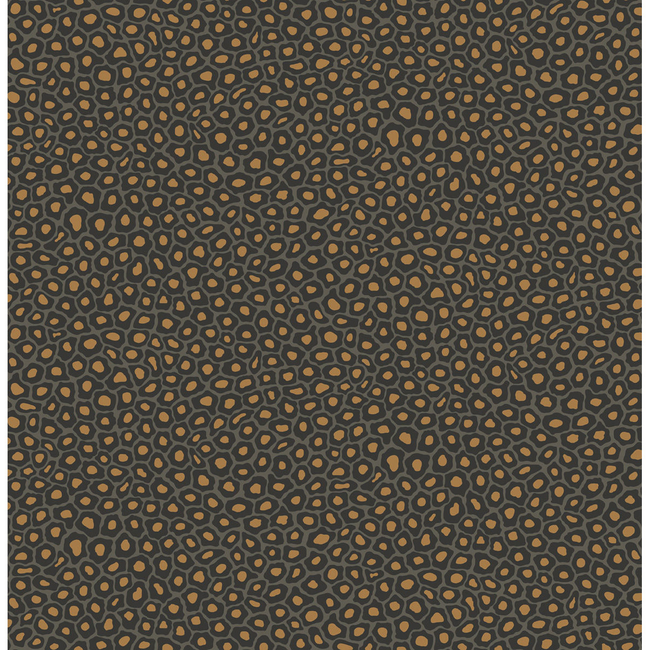 COLE & SON ARDMORE SENZO SPOT - CHARCOAL 109/6032.CS.0