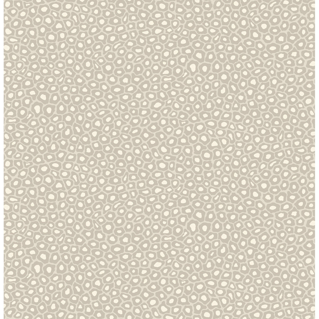 COLE & SON ARDMORE SENZO SPOT - STONE & WHITE 109/6030.CS.0
