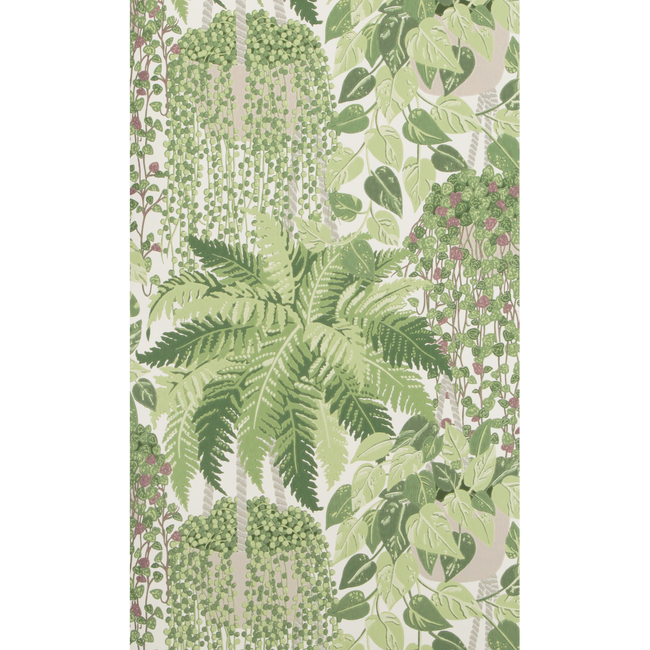COLE & SON BOTANICAL BOTANICA FERN - LEAF GREEN AND OLIVE 115/7021.CS.0