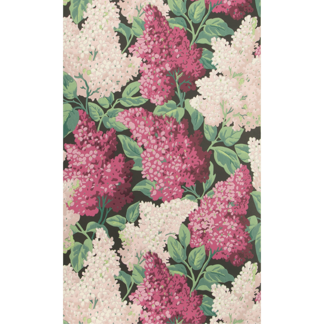 COLE & SON BOTANICAL BOTANICA LILAC - MAGENTA/BLUSH/CHARCO 115/1001.CS.0