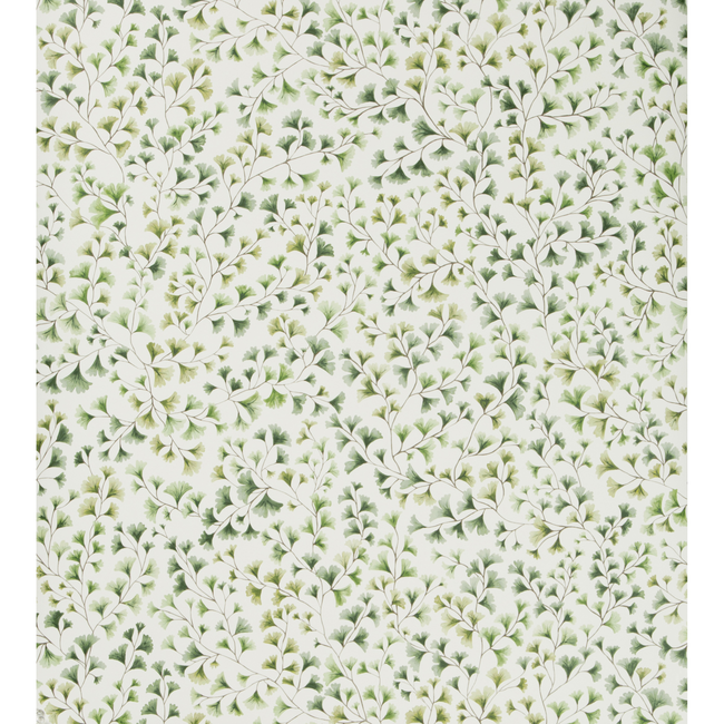 COLE & SON BOTANICAL BOTANICA MAIDENHAIR - OLIVE 115/6018.CS.0