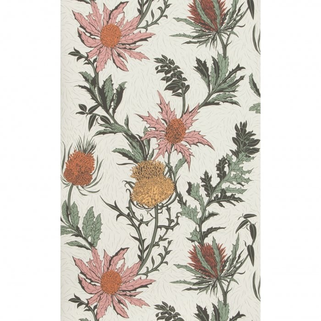 COLE & SON BOTANICAL BOTANICA THISTLE - A PINK/ORANGE/PARCH 115/14043.CS.0
