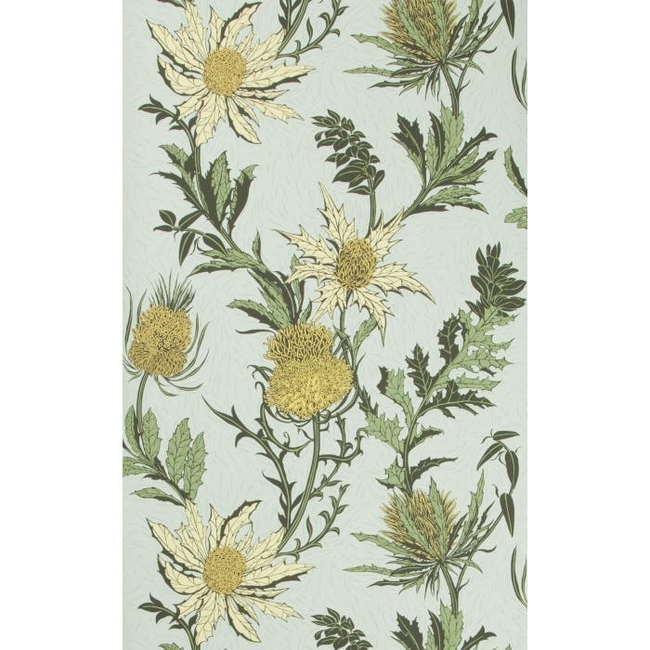 COLE & SON BOTANICAL BOTANICA THISTLE - LEMON/OLIVE/D EGG 115/14042.CS.0
