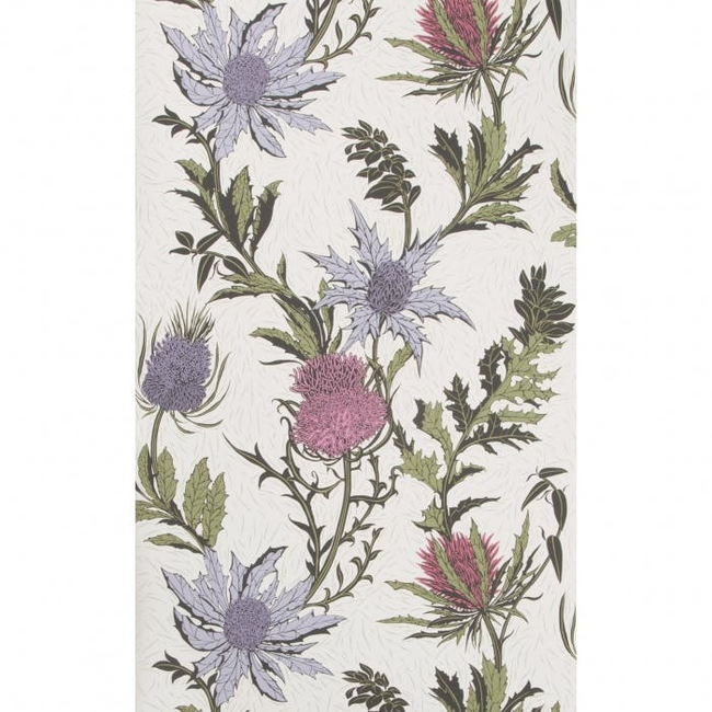 COLE & SON BOTANICAL BOTANICA THISTLE - LILAC/CERISE/WHITE 115/14044.CS.0