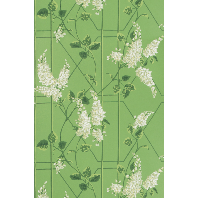 COLE & SON BOTANICAL BOTANICA WISTERIA - SAGE/LEAF GREEN 115/5016.CS.0