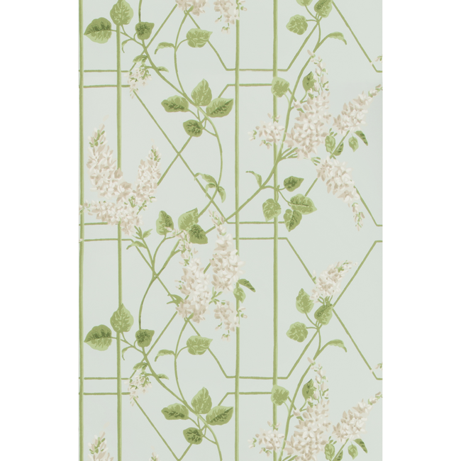 COLE & SON BOTANICAL BOTANICA WISTERIA - STONE/OLIVE/D EGG 115/5014.CS.0