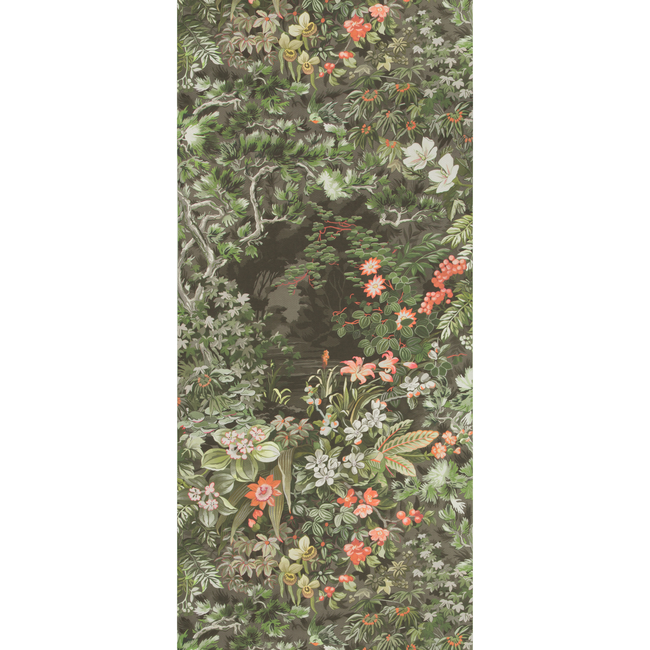 COLE & SON BOTANICAL BOTANICA WOODLAND - CORAL/OLIVE/CHAR 115/4011.CS.0