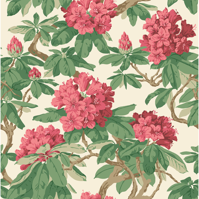 COLE & SON BOURLIE - CARMINE 99/4019.CS.0