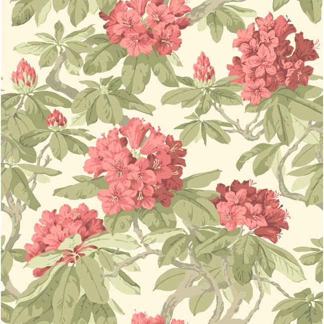 COLE & SON BOURLIE - CORAL 99/4020.CS.0