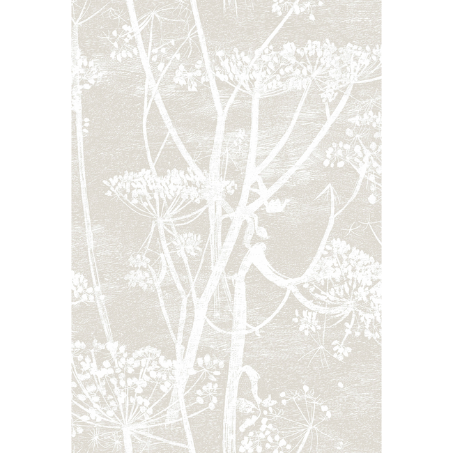 COLE & SON CONTEMPORARY RESTYLED COW PARSLEY - LINEN/WHITE 95/9051.CS.0